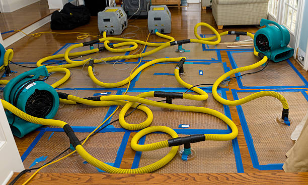 Professional Water Damage Repair technician working in Fitchburg, MA